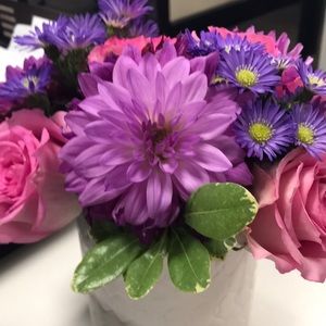 Meet your Posher, Colleen